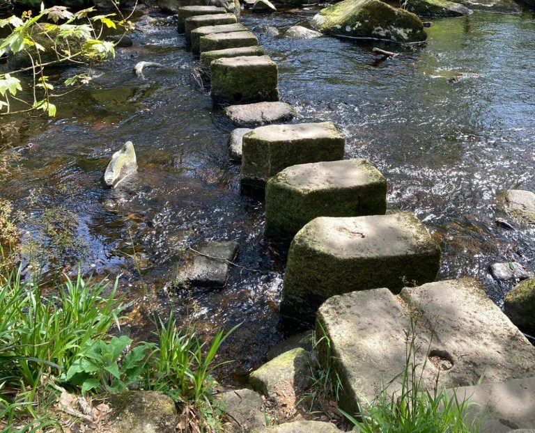 path over steam